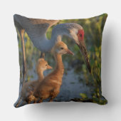 Coussin Grue du Canada avec poussins, Floride (Verso)