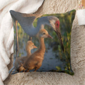 Coussin Grue du Canada avec poussins, Floride (Couverture)