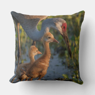 Coussin Grue du Canada avec poussins, Floride