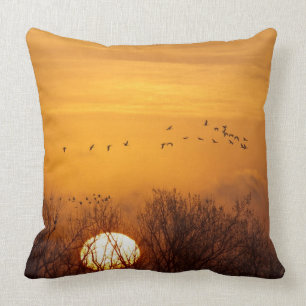 Coussin Grues de Sandhill silhouettées contre le soleil l