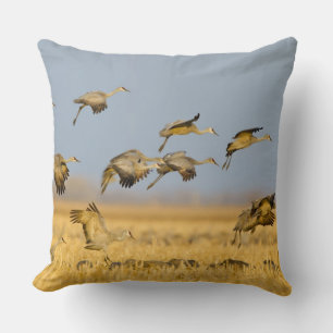 Coussin Grues du Canada atterrissent dans des champs de ma