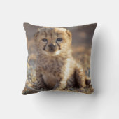 Coussin Guépard 19 jours petit mâle (Verso)