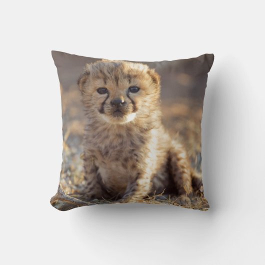 Coussin Guépard 19 jours petit mâle (Recto)