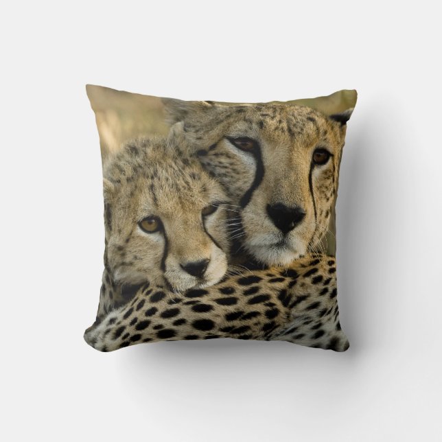 Coussin Guépard, Acinonyx jubatus, avec son petit dans le  (Recto)