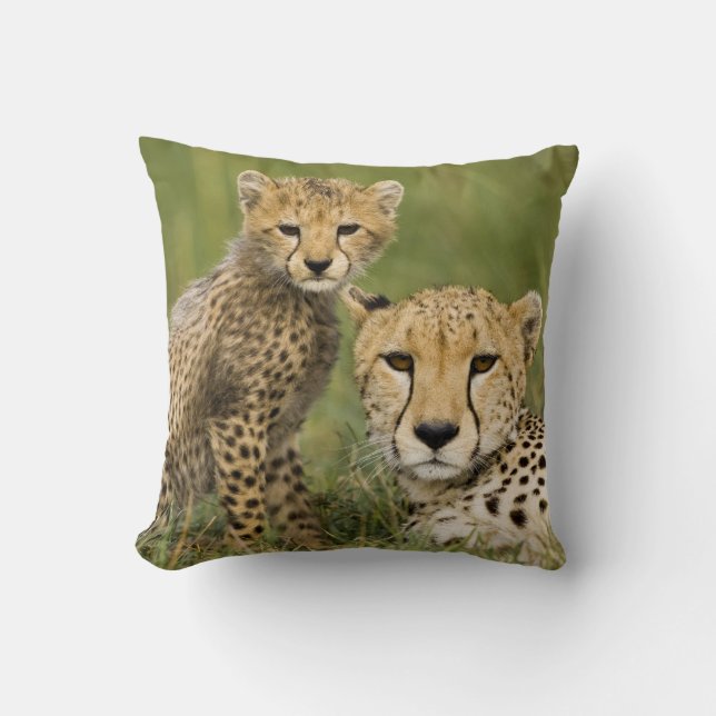Coussin Guépard, Acinonyx jubatus, avec un petit (Recto)