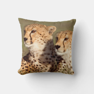 Coussin Guépard allongé dans l'herbe, Ngorongoro Conservat