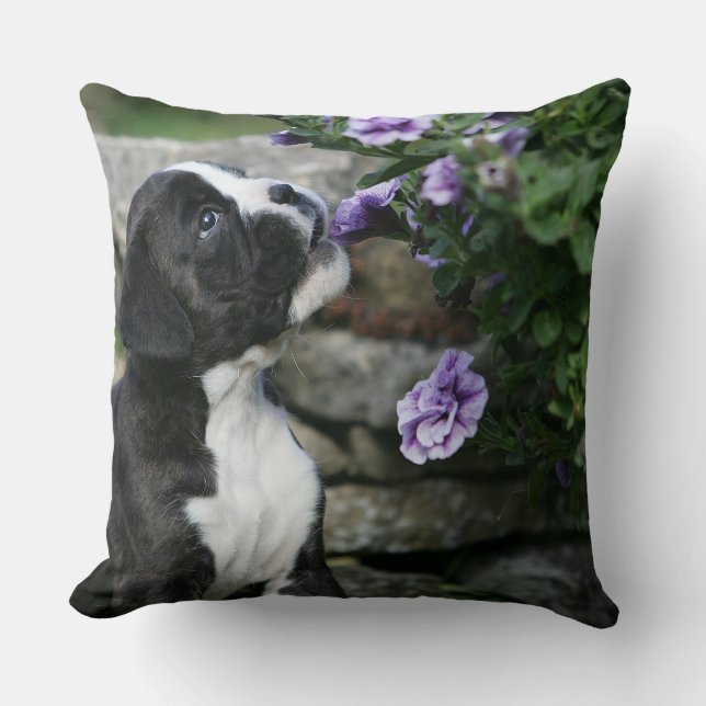 Coussin Halètement de chien de boxeur (Recto)
