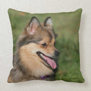 Coussin Halètement de Headshot de Pomeranian