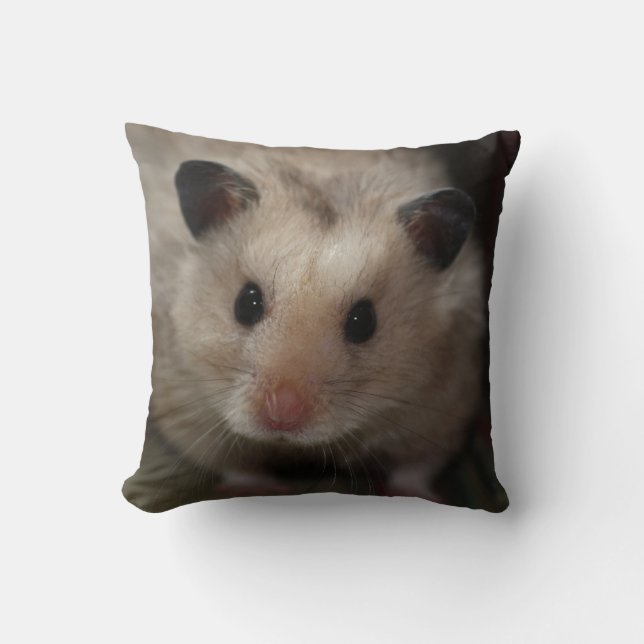 Coussin Hamster pelucheux mignon (Recto)
