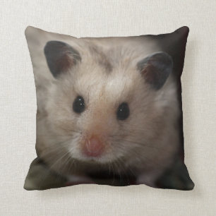 Coussin Hamster pelucheux mignon