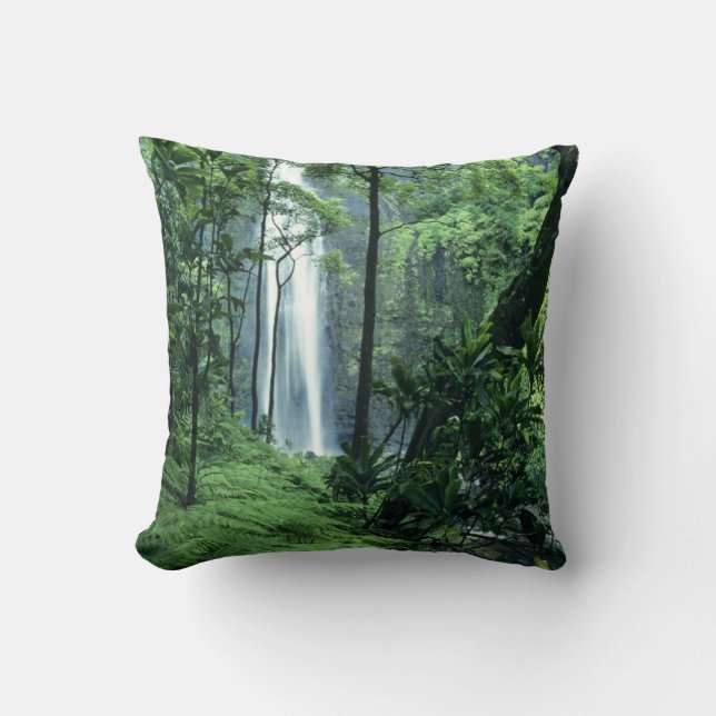 Coussin Hanakapiai tombe le long de la côte de Na Pali, à  (Recto)