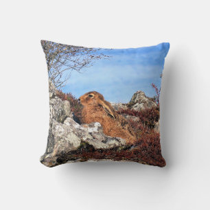 COUSSIN HARE