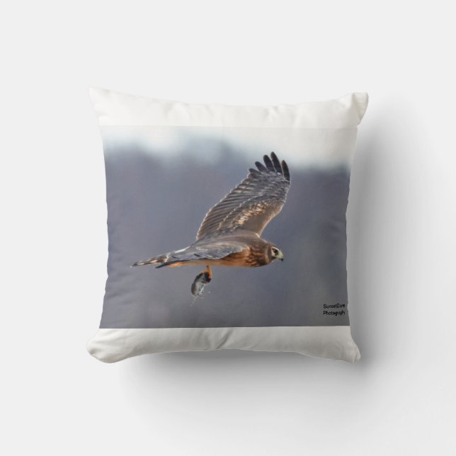 Coussin Harrier du Nord (Recto)