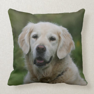 Coussin Headshot 2 de golden retriever