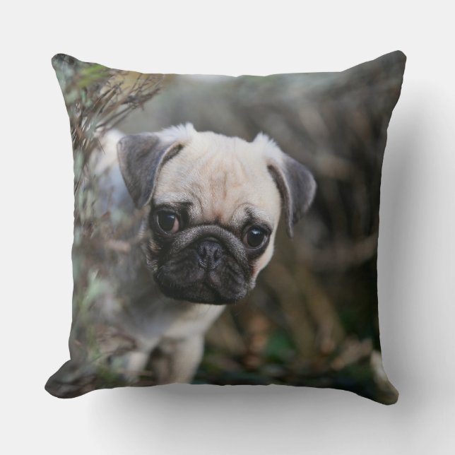 Coussin Headshot de chiot de carlin de faon (Recto)