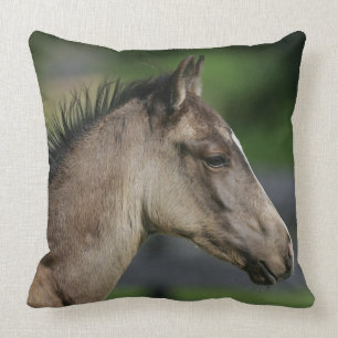 Coussin Headshot quart de poulain de cheval