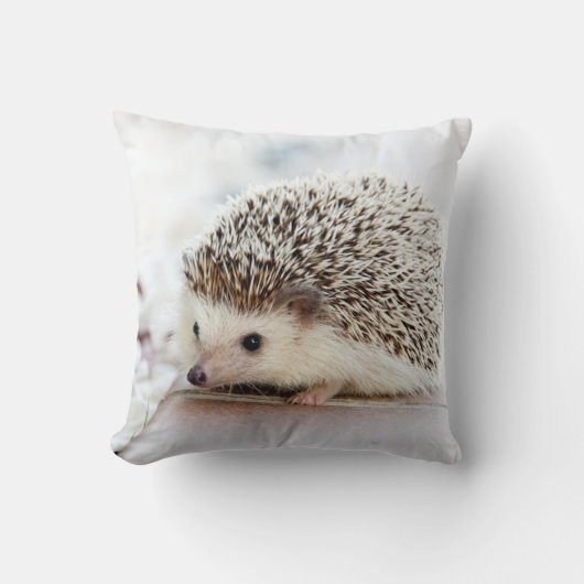 Coussin Hérisson mignon de bébé (Recto)