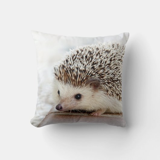 Coussin Hérisson mignon de bébé (Recto)
