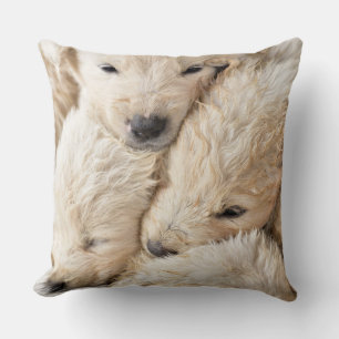 Coussin Heureuse Sainte-Valentin de marionnettes mignonnes
