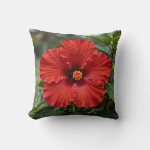 Coussin Hibiscus Tropical Rouge Vibrant en Fleur
