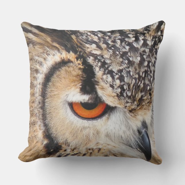 COUSSIN HIBOU (Recto)