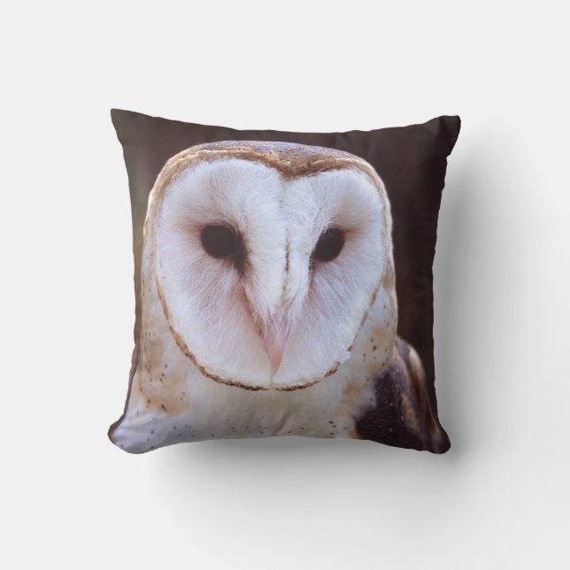 Coussin hibou de grange (Recto)