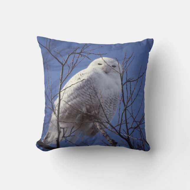 Coussin Hibou de Milou, oiseau blanc contre un ciel bleu (Recto)
