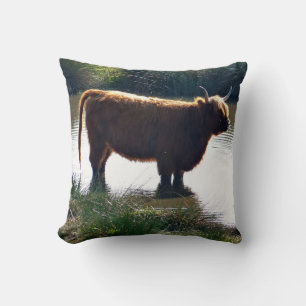 Coussin Highland Cattle