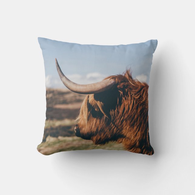 COUSSIN HIGHLAND VW (Recto)
