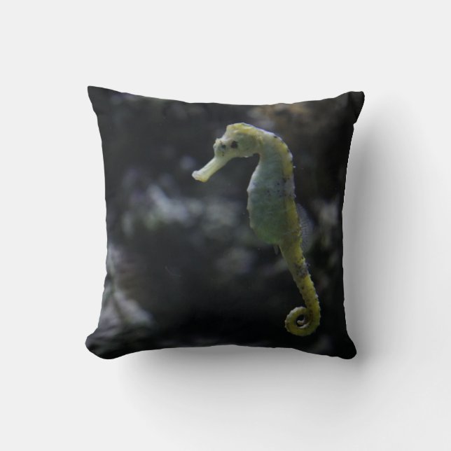 Coussin Hippocampe (Recto)