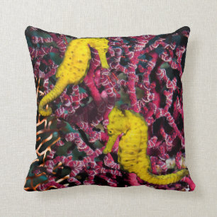 Coussin Hippocampe commun Taeniopterus de l'hippocampe  