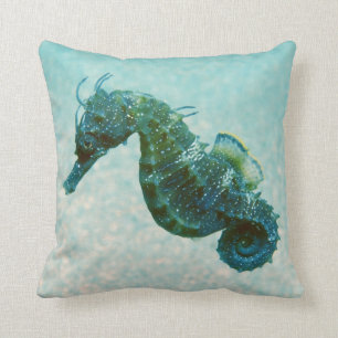 Coussin Hippocampe Court-Foui Crimée, Russie
