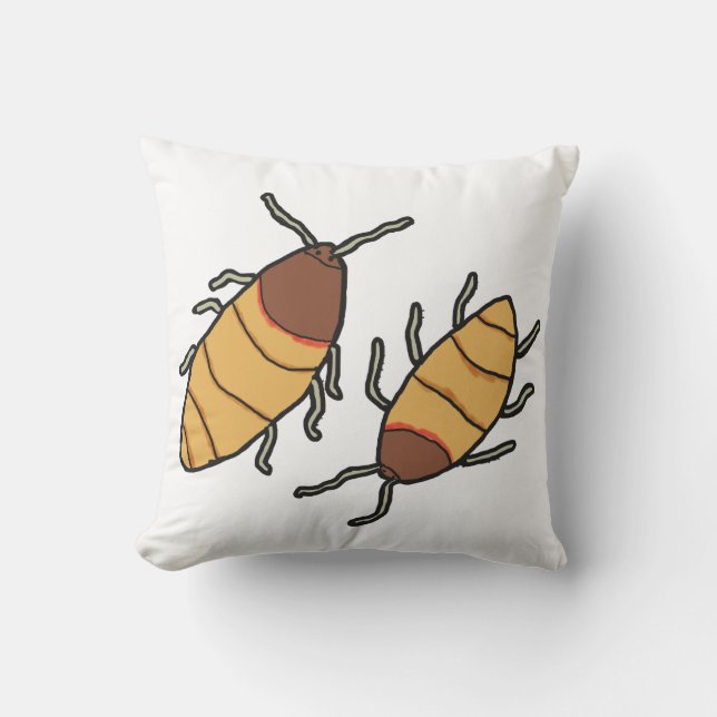 Coussin Hisser Cockroach (Recto)