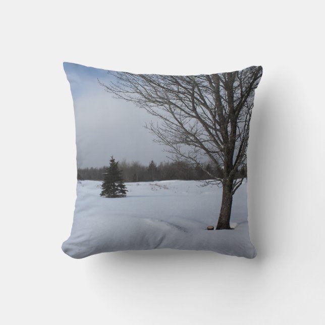 Coussin hiver enneigé cool pays des merveilles paysage (Recto)