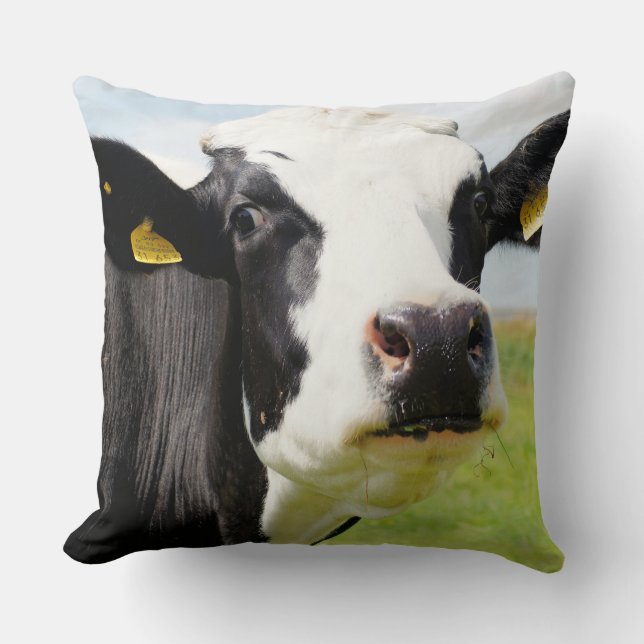 Coussin HOLSTEiN FRESiAN CoW (Recto)