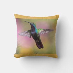 Coussin Humming Bird