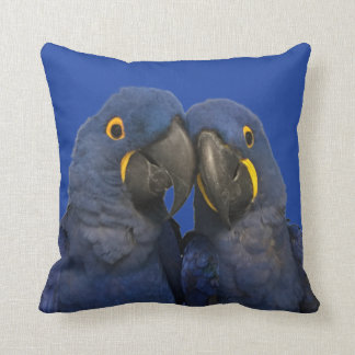 Coussin Hyacinth Macaw Parrot Bird Rare Blue