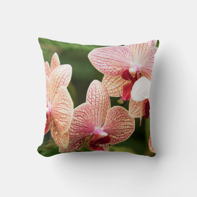 Coussin Hybride d'orchidée orange, Afrique du Sud (Recto)