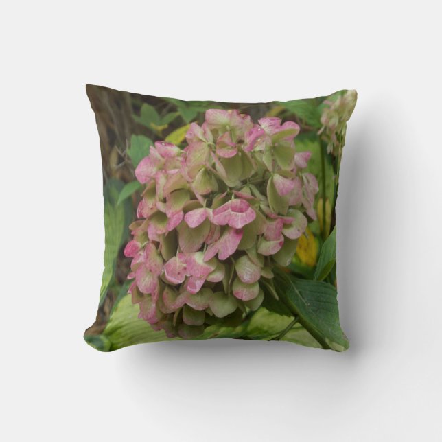 Coussin Hydrangea d'automne en fleurs avec feuilles d'host (Recto)
