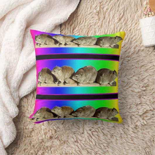 Coussin Hyrax africain froid (Couverture)