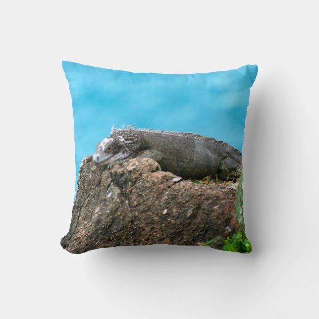 Coussin Iguane de regard gentil de St Thomas U.S.V.I (Recto)