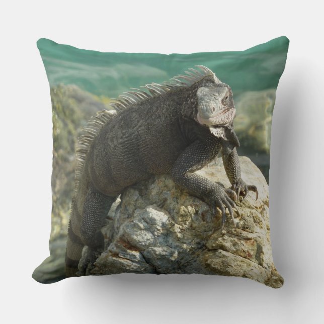 Coussin Iguane sur les rochers à St. Thomas (Recto)