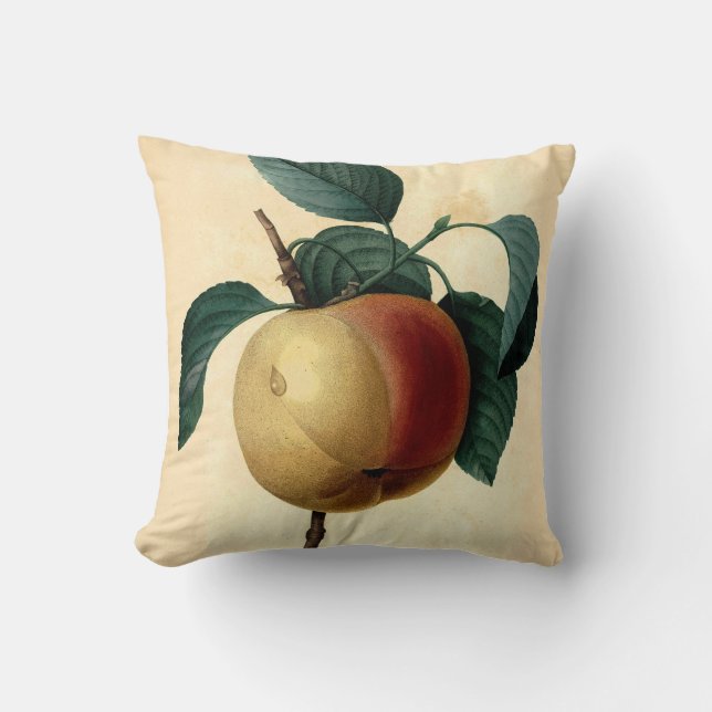 Coussin Illustration botanique d'Apple (Recto)