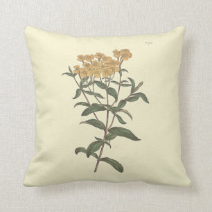 Coussin Illustration botanique du souci chili