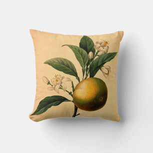 Coussin Illustration botanique orange