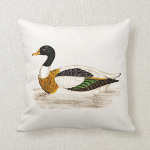 Coussin Illustration de canard de Drake de 1800s vintages