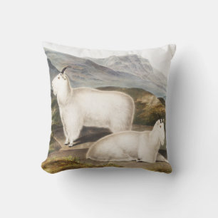 Coussin Illustration de la chèvre des Rocheuses (Capra Ame
