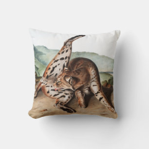 Coussin Illustration de Lynx texane (Lynx rufus var macula