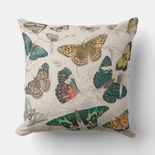 Coussin Illustration de papillon antique : 1820 Orfèvre