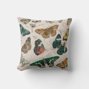 Coussin Illustration de papillon antique : 1820 Orfèvre